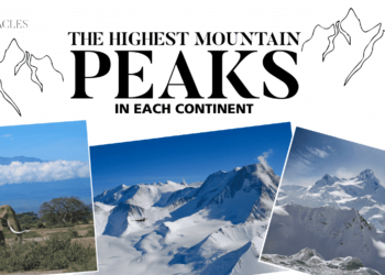 The Best Vegan Restaurants in the World