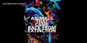 Animals that came back from extinction Passion Vista Magazine