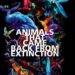 Animals that came back from extinction Passion Vista Magazine