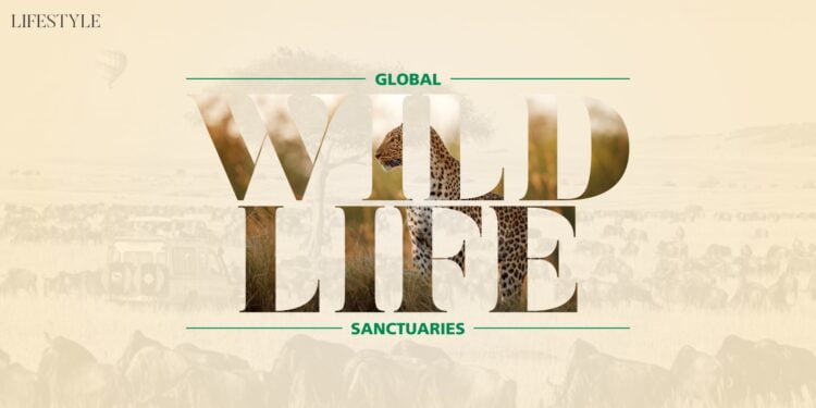 Global Wild Life Passion Vista Magazine