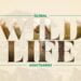 Global Wild Life Passion Vista Magazine Global Wildlife Sanctuaries