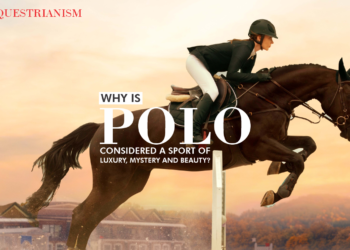 Why is Polo considered a sport of luxury mystery and beauty Passion Vista Magazine