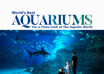 World’s Best Aquarium for a Close Look at The Aquatic World